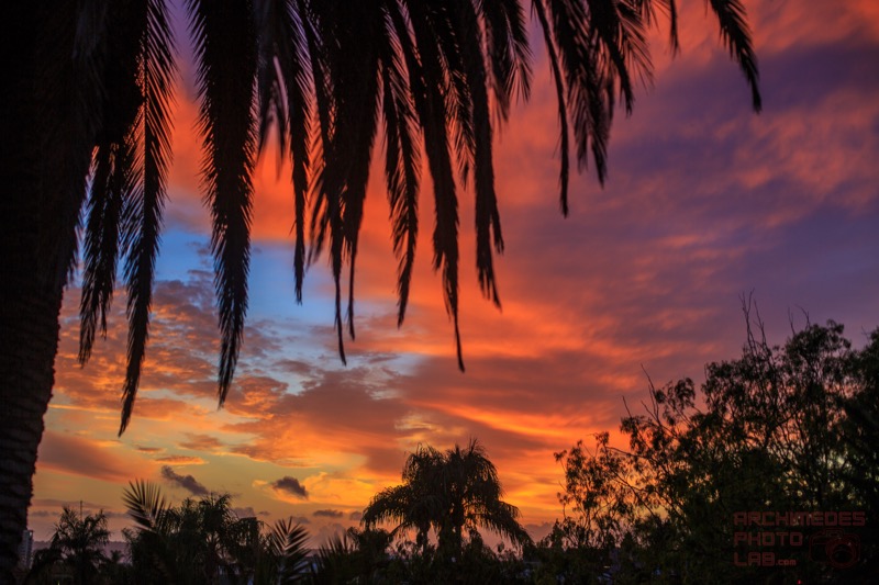 Balboa Park